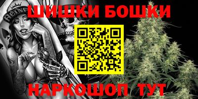 крисы Моздок