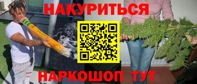 крисы Моздок