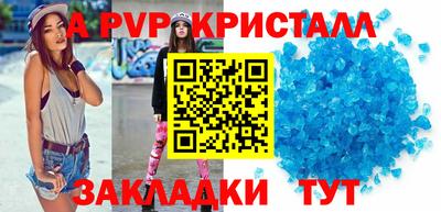 крисы Моздок